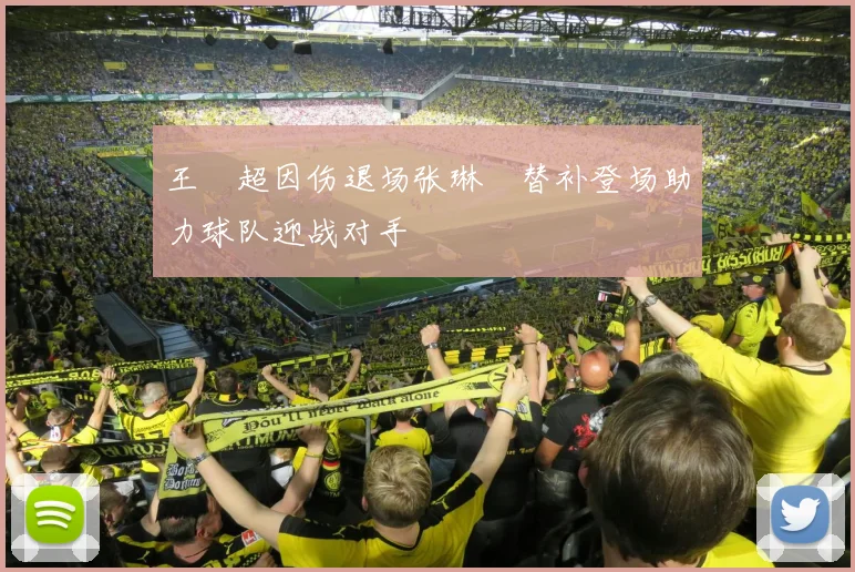 王燊超因伤退场张琳芃替补登场助力球队迎战对手