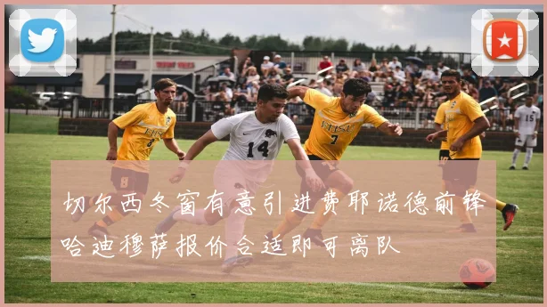 切尔西冬窗有意引进费耶诺德前锋哈迪穆萨报价合适即可离队