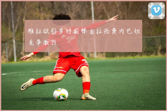 维拉欲引多特前锋吉拉西费内巴切竞争激烈